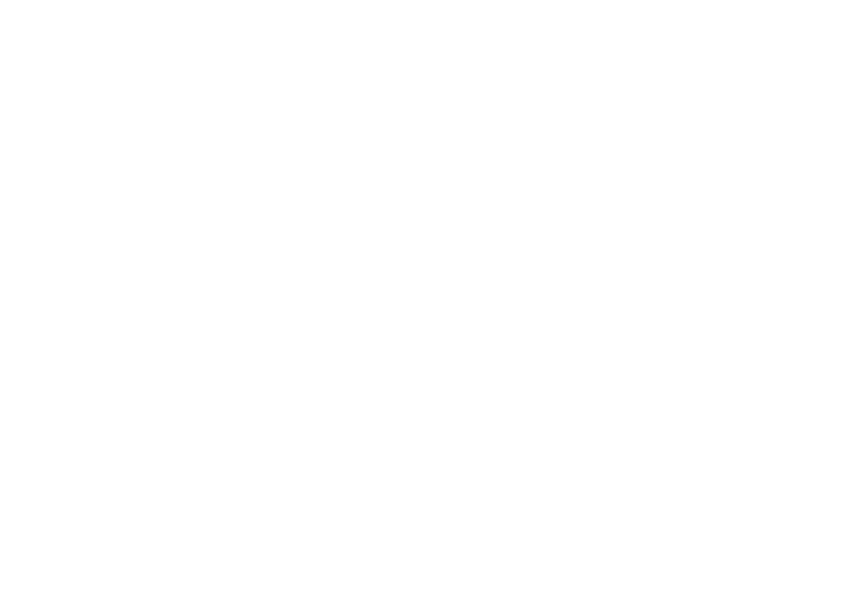 IBSOLAR Logo Branca